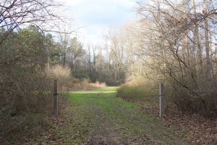 Timberland Property in Amite County, Mississippi