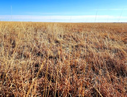 Farm and Ranch in Baca County, Colorado