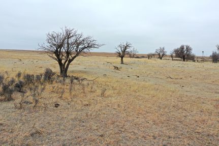 Farm and Ranch in Ellis County, Oklahoma