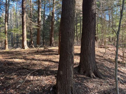 Timberland Property in McKean County, Pennsylvania