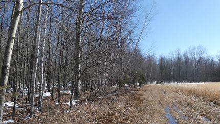 Timberland Property in Gratiot County, Michigan