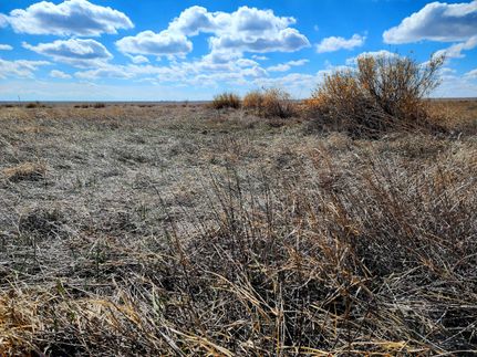 Farm and Ranch in Weld County, Colorado