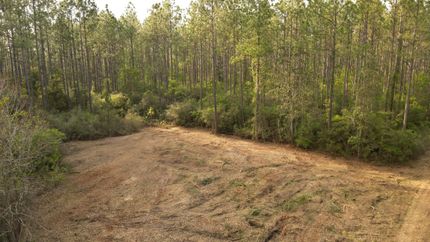 Farm and Ranch in Baldwin County, Alabama