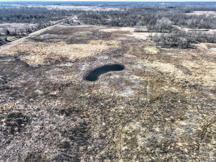 Timberland Property in Branch County, Michigan