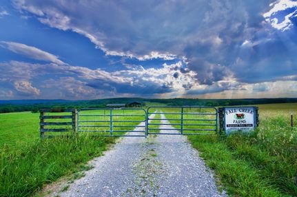 Timberland Property in Bledsoe County, Tennessee
