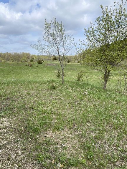 Timberland Property in Saint Croix County, Wisconsin