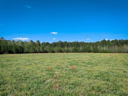 Undeveloped Land in Florence County, South Carolina