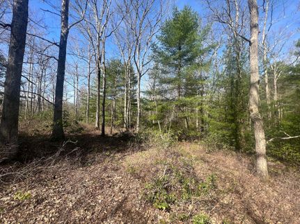 Timberland Property in Pike County, Pennsylvania