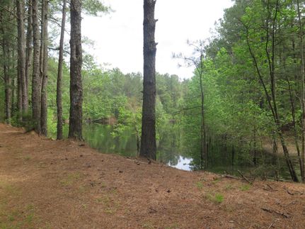 Timberland Property in Wayne County, Mississippi