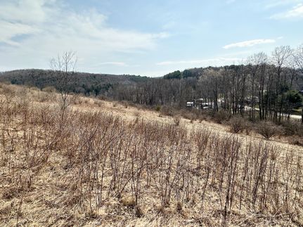 Timberland Property in Steuben County, New York