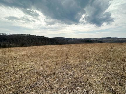 Timberland Property in Steuben County, New York
