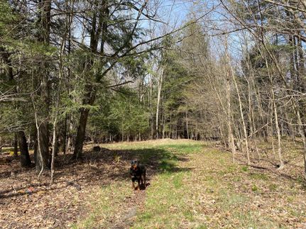 Land in Clearfield County, Pennsylvania