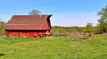 Timberland Property in Pettis County, Missouri
