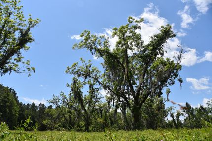 Recreational Property in Alachua County, Florida