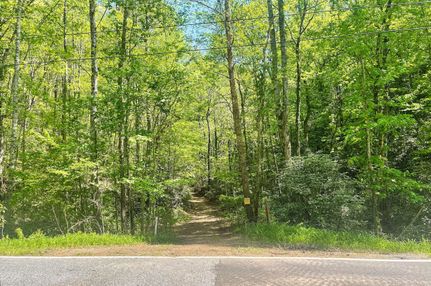 Timberland Property in Greenville County, South Carolina