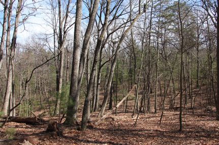 Timberland Property in Shenandoah County, Virginia