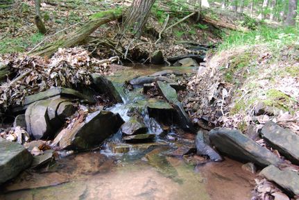 Timberland Property in Morgan County, West Virginia