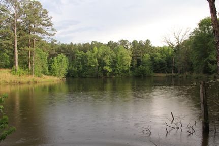 Recreational Property in Franklin County, Mississippi
