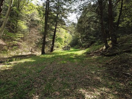 Timberland Property in Potter County, Pennsylvania