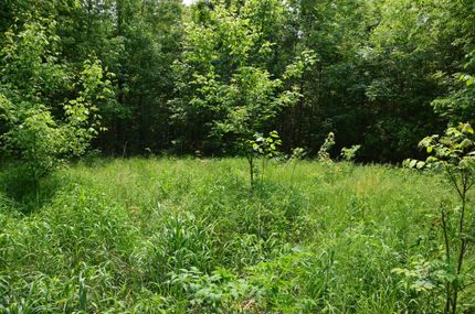Recreational Property in Perry County, Illinois
