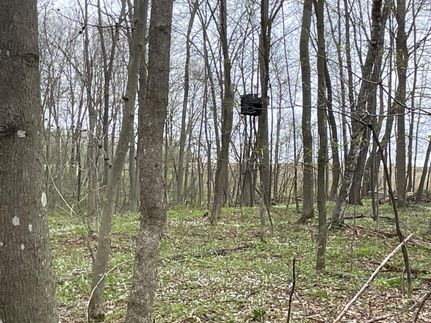 Timberland Property in Dunn County, Wisconsin