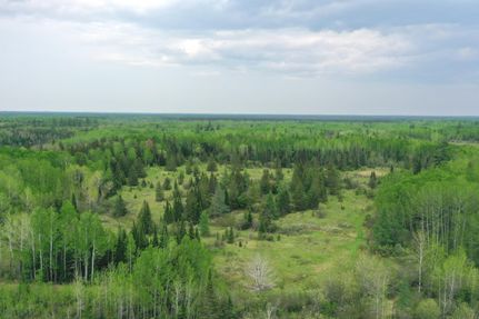 Farm and Ranch in Koochiching County, Minnesota