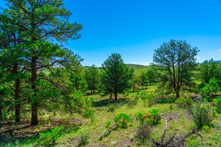 Undeveloped Land in Park County, Colorado