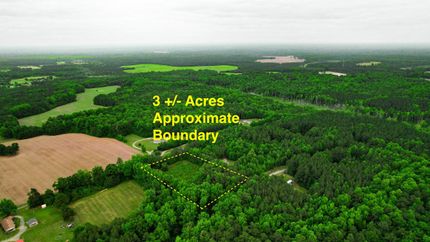 Timberland Property in Dinwiddie County, Virginia