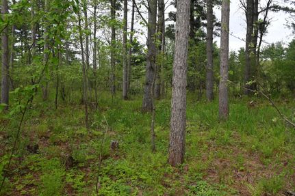 Recreational Property in Dunn County, Wisconsin