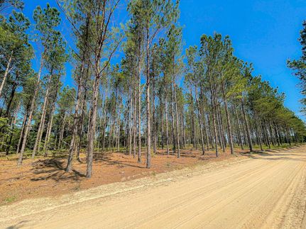Farm and Ranch in Dillon County, South Carolina