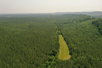 Timberland Property in Cherokee County, Alabama