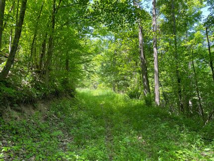 Undeveloped Land in Somerset County, Pennsylvania