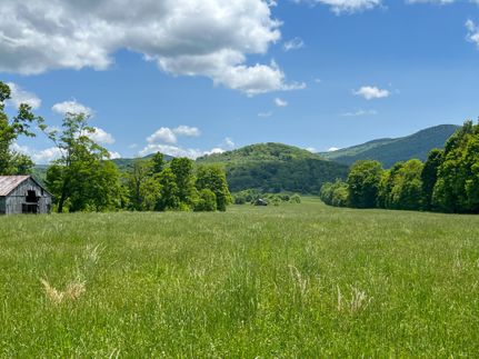 Undeveloped Land in Randolph County, West Virginia