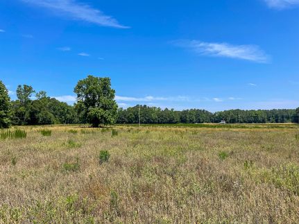 Timberland Property in Dillon County, South Carolina