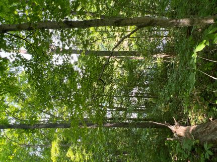 Recreational Property in Highland County, Ohio