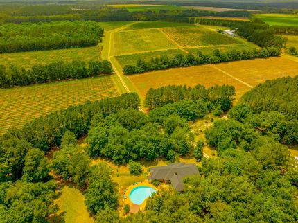 Timberland Property in Screven County, Georgia