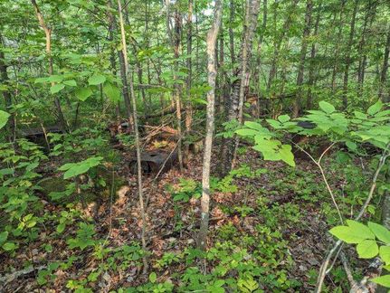 Farm and Ranch in Hillsborough County, New Hampshire
