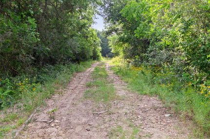 Undeveloped Land in Bastrop County, Texas