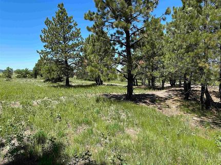 Land for sale in Meade County, South Dakota