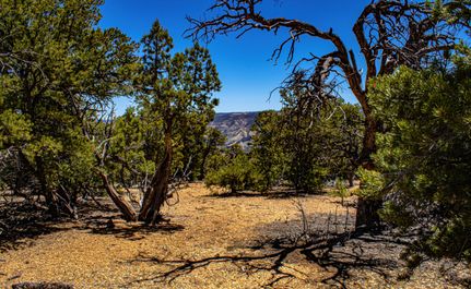 Recreational Property in Duchesne County, Utah
