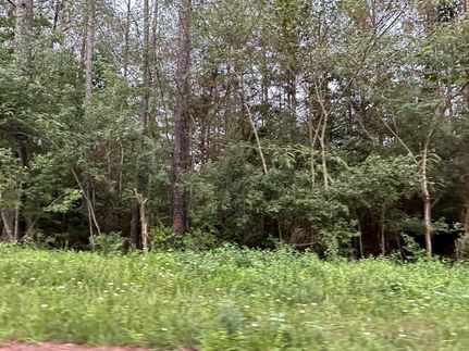 Timberland Property in Polk County, Tennessee