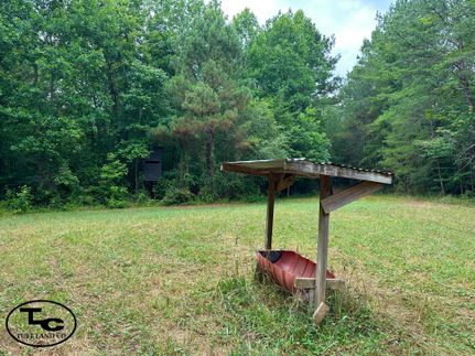 Timberland Property in Fayette County, Alabama