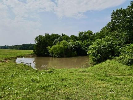 Farm and Ranch in Navarro County, Texas