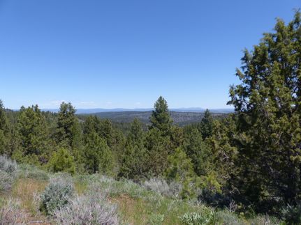 Timberland Property in Harney County, Oregon