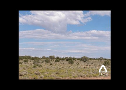 Undeveloped Land in Apache County, Arizona