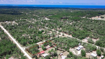 Farm and Ranch in Taylor County, Florida