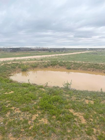 Land in Guadalupe County, New Mexico
