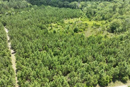 Recreational Property in Telfair County, Georgia