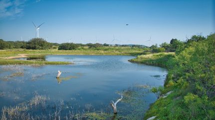 Undeveloped Land in McCulloch County, Texas