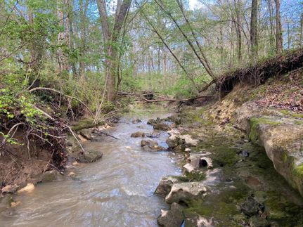 Farm and Ranch in Rankin County, Mississippi